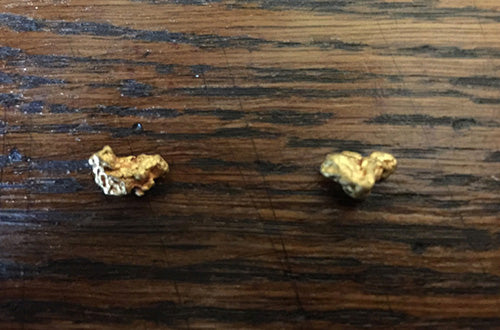 A Lost Treasures Customer Finds Gold Nuggets!