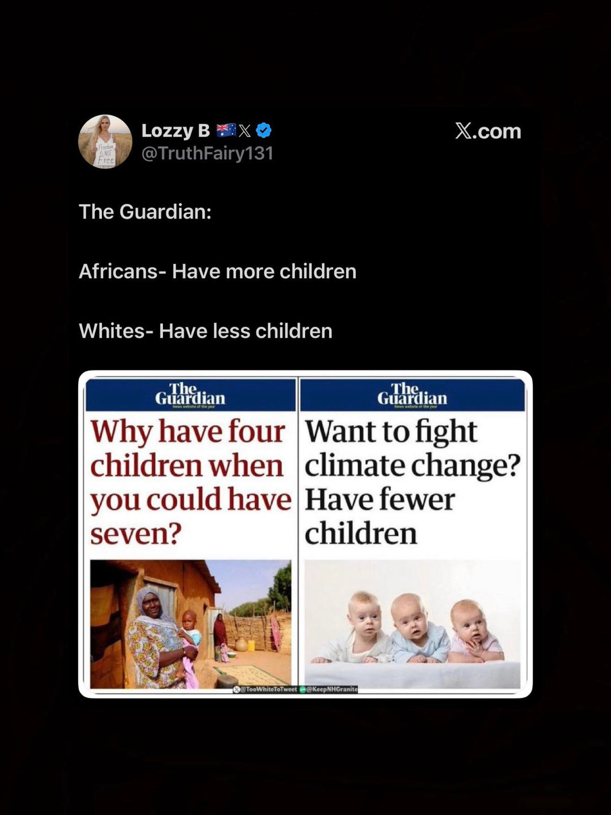 XTREM HUNTER Detector - XTR115-TX &amp; RX Coils, XTR-STEM S-Telescopic Stem, DEUS II Remote Control,  WSAXLST Wireless Headphones, EN Manual, XTR-CASE115 Case